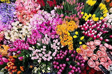 《如龙8》Steam峰值系列最高 超34000人在线