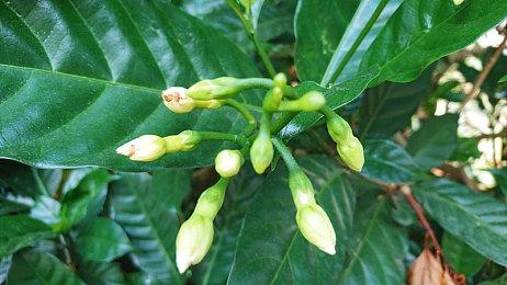 《命运石之门》官方宣布新游戏计划启动 详情陆续公开